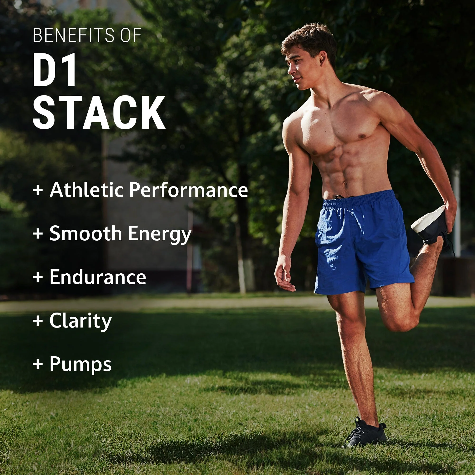 D1 Stack - Image 2